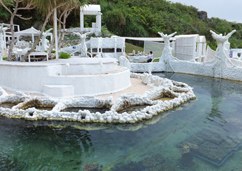サンゴの海